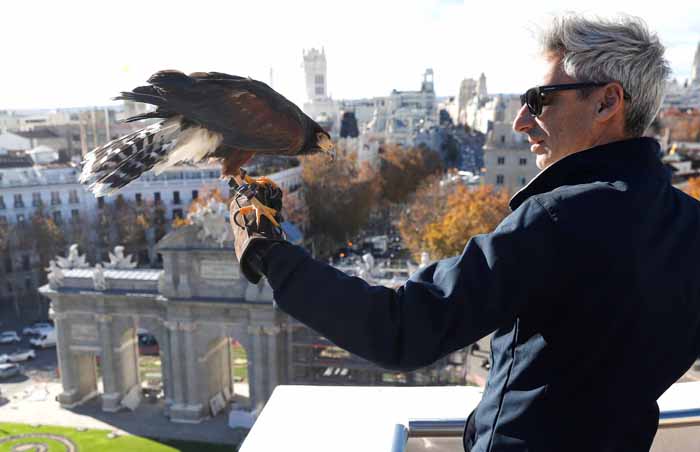 Águila y su cuidador en la Puerta de Alcalá