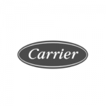 Logo Carrier