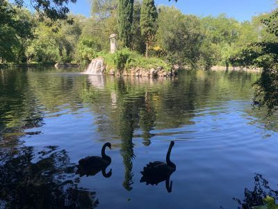 Lake with island and monument to the 3rd Duke of Osuna within El Capricho. Tour Time