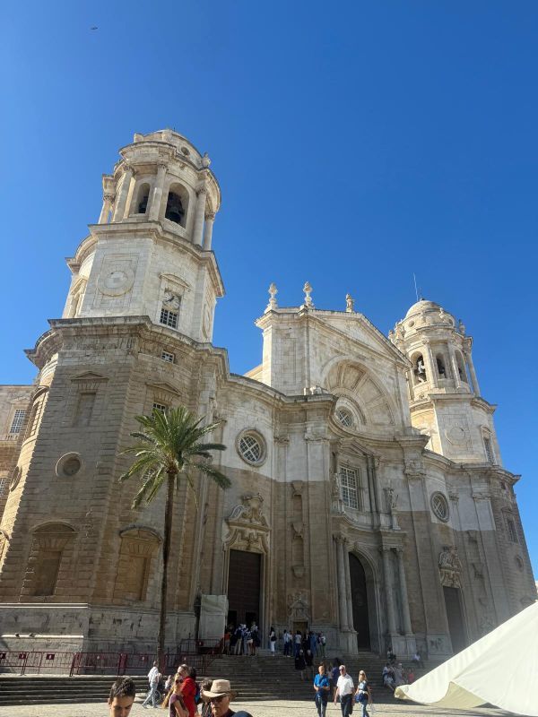 Fachada y torres de la Catedral Nueva de Cádiz, con una palmera en primer plano.